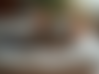 A calm tabby cat resting in a soft bed.