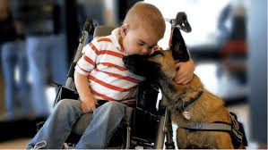 Service dog with a child