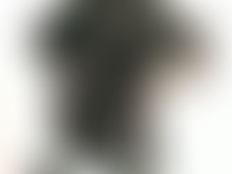 A senior black dog
