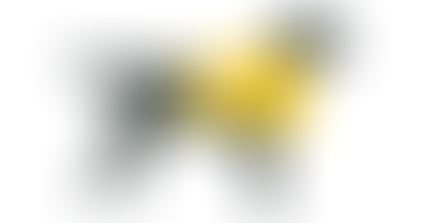 image of a service dog