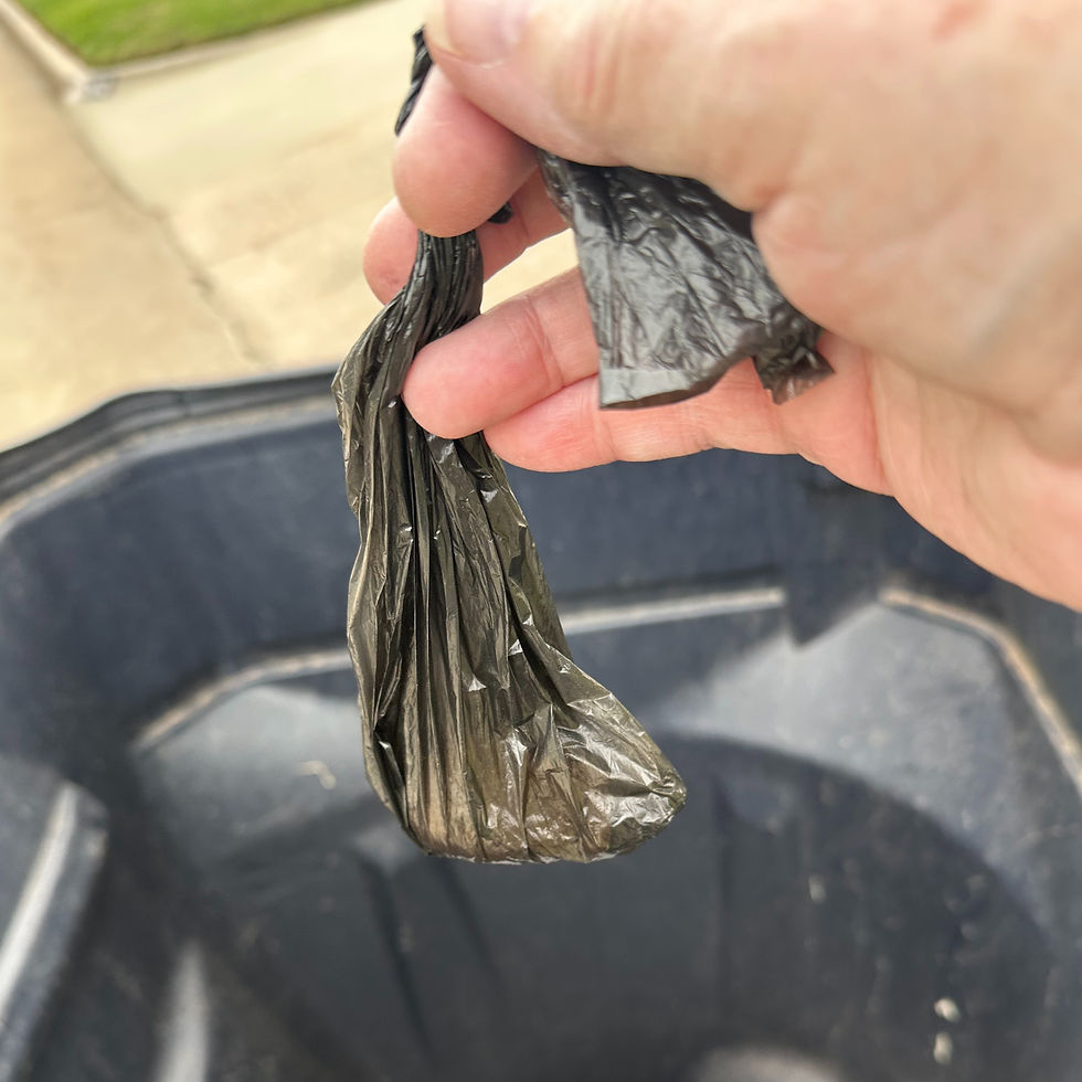 Don't forget to be respectful of the neighborhood; pick up after your pets.