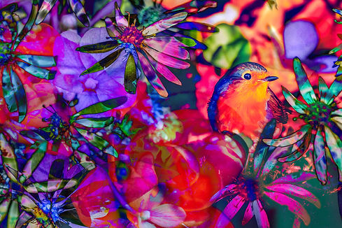 Floral Fireworks 02.jpg