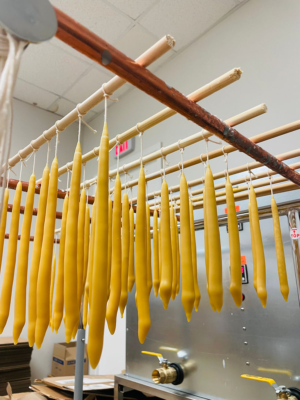 Thumbnail: 8 inches Organic dripless beeswax taper candles - unbleached cotton cored wick.