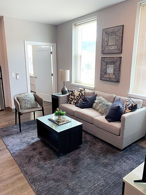 Polk on Third Living Room