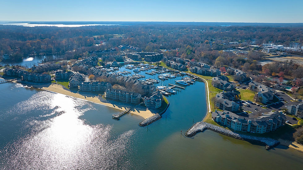 Waterfront Real Estate Annapolis Residential Property Brent Allen