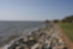 Rip-Wrapped portion of the shore