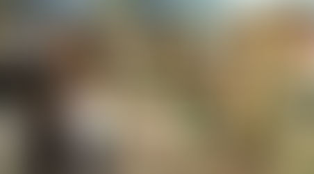 RECURSO INMERSIVO ONLINE