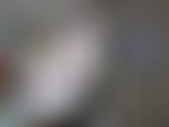 Medina Chapter Featured in the Medina Gazette