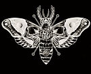 Vndl Art Moth Logo