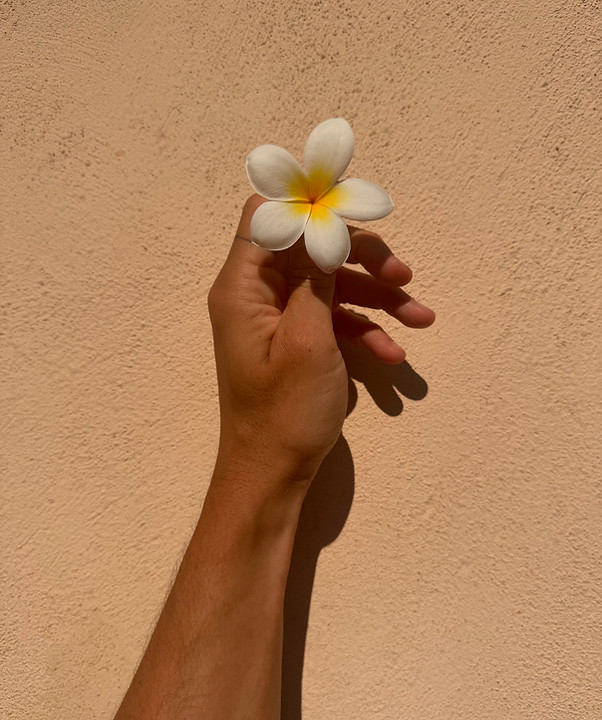 FDFDA863-56F7-42D7-AFE2-513C46811F17 2.jpg