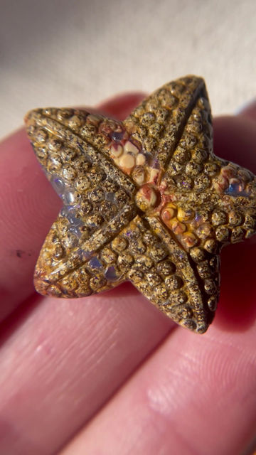 Thumbnail: Boulder Opal Matrix Starfish Necklace MADE TO ORDER 