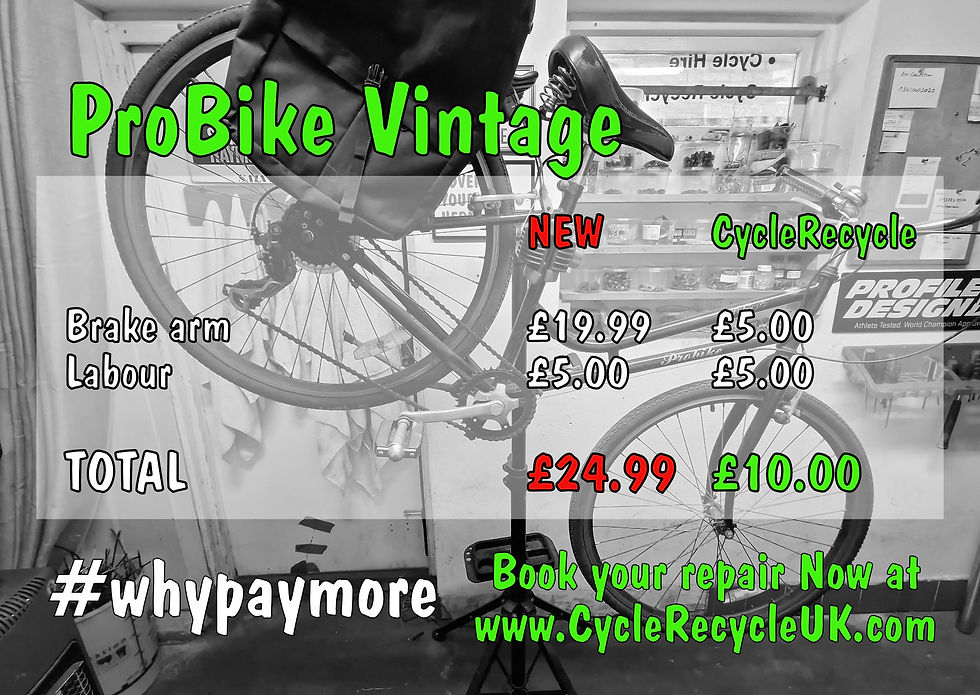 ProBike Vintage
