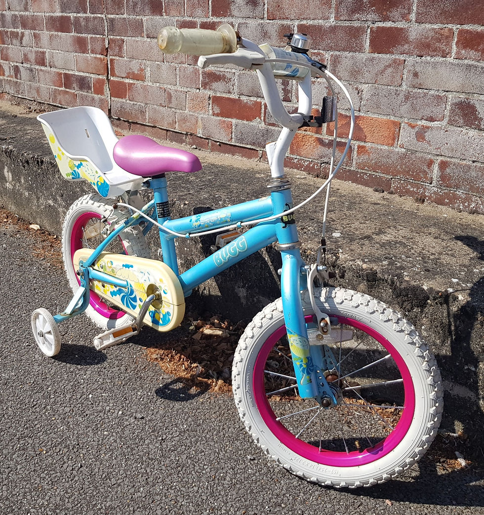 Miniatura: Bugg Bike