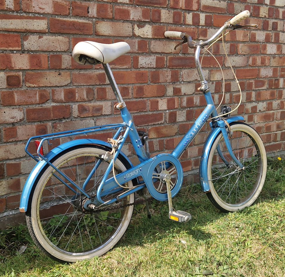 Thumbnail: SOLD!!! | Raleigh Sapphire