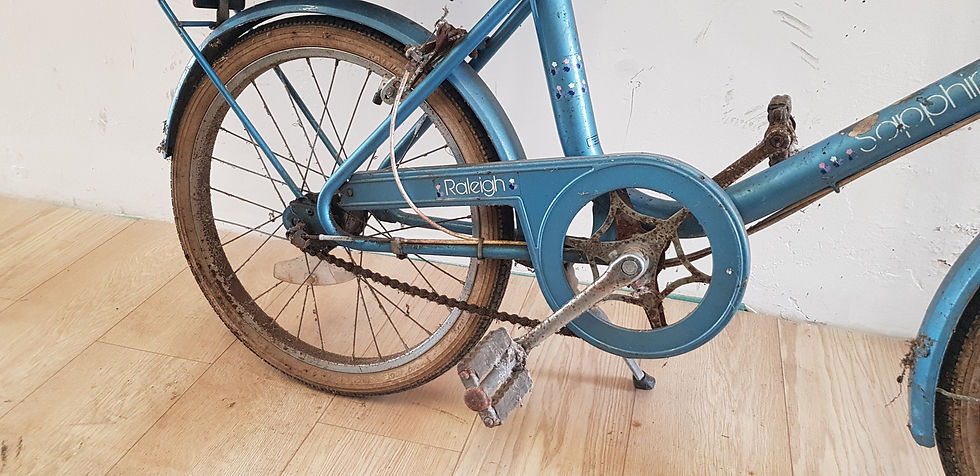 Thumbnail: Project : Raleigh Solitaire