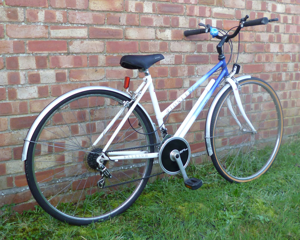 Thumbnail: Raleigh Pioneer Classic