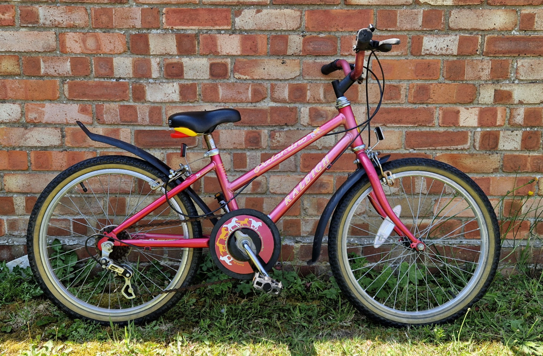 SOLD!!! | Raleigh Palamino