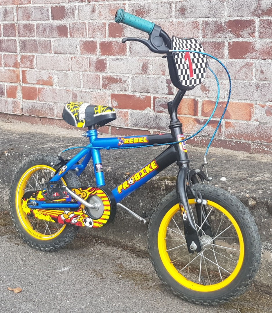 Miniatura: ProBike Rebel