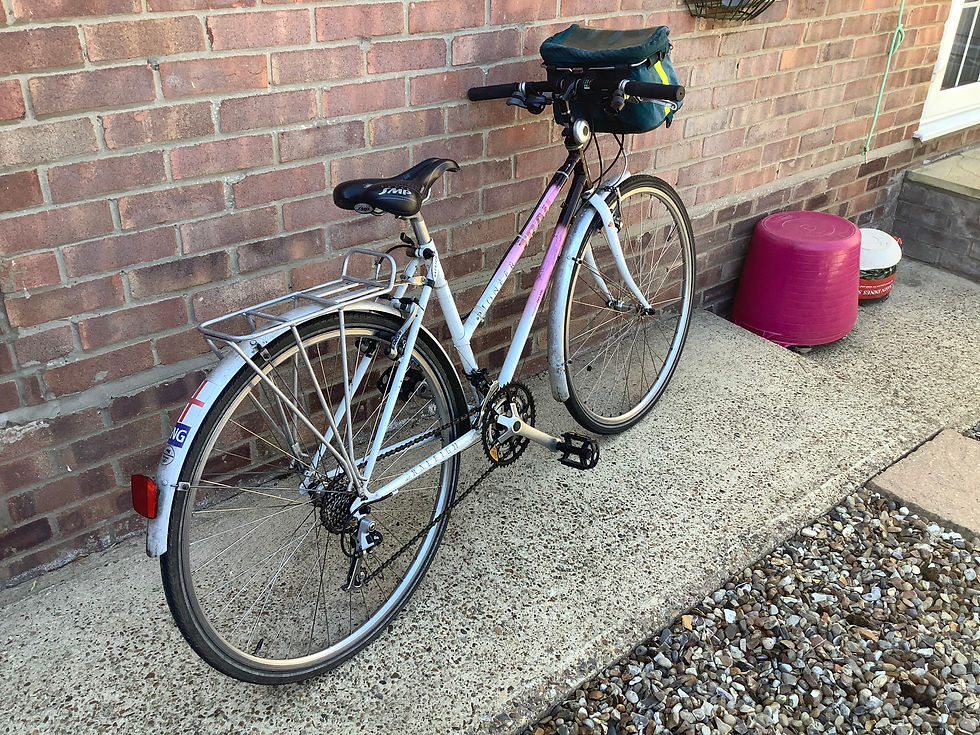 Thumbnail: Raleigh Pioneer