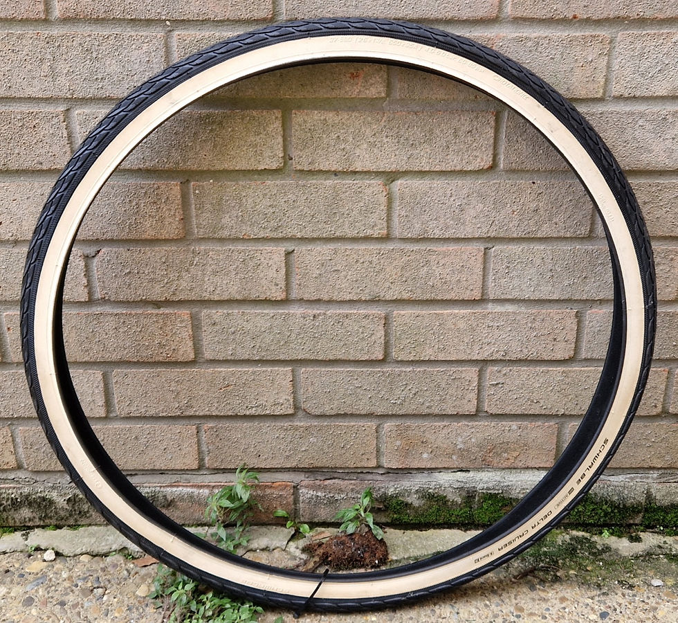 Миниатюра: Schwalbe Delta Cruiser 26 x 1 3/8