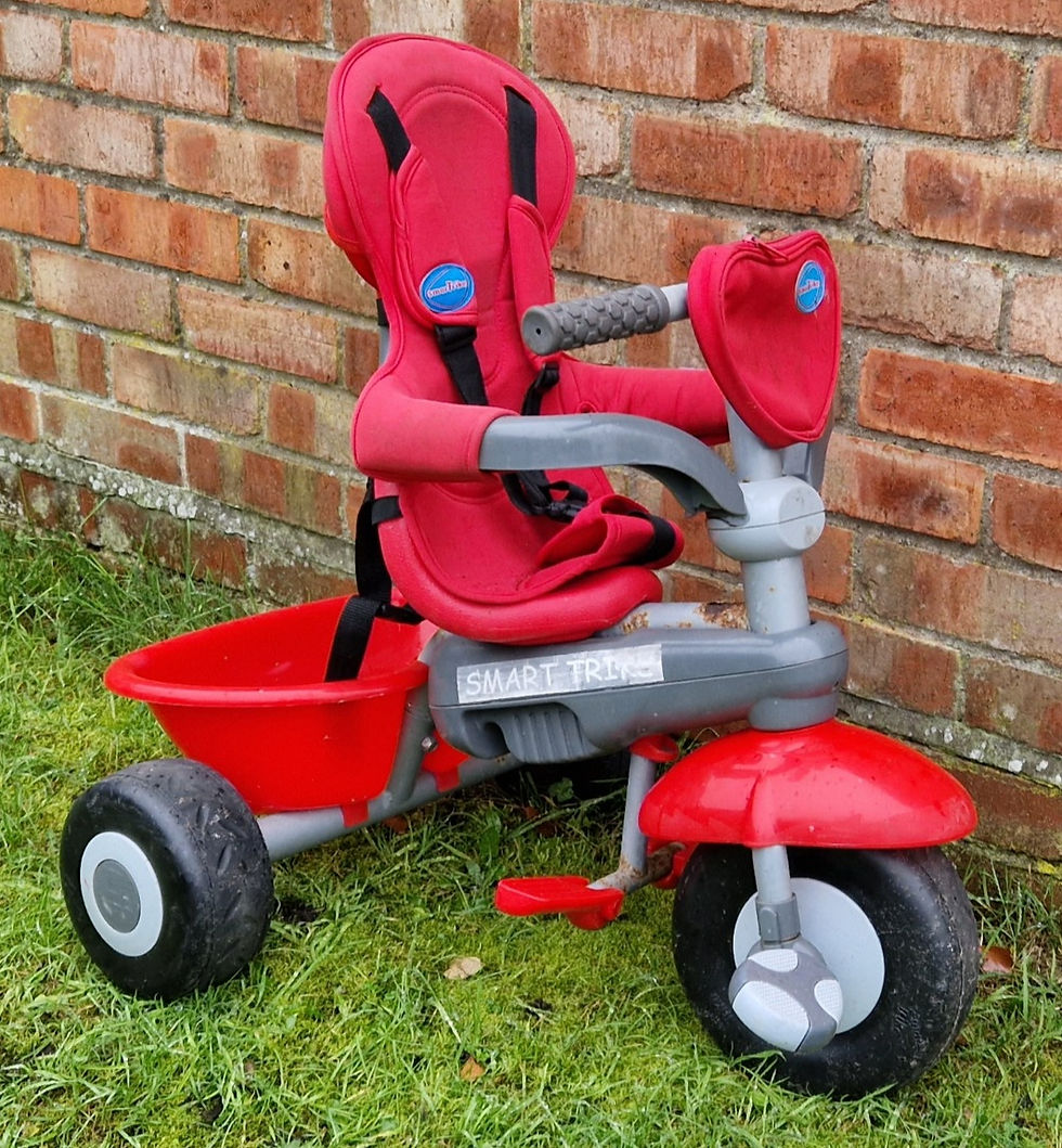 Miniaturbild: Smart Trike