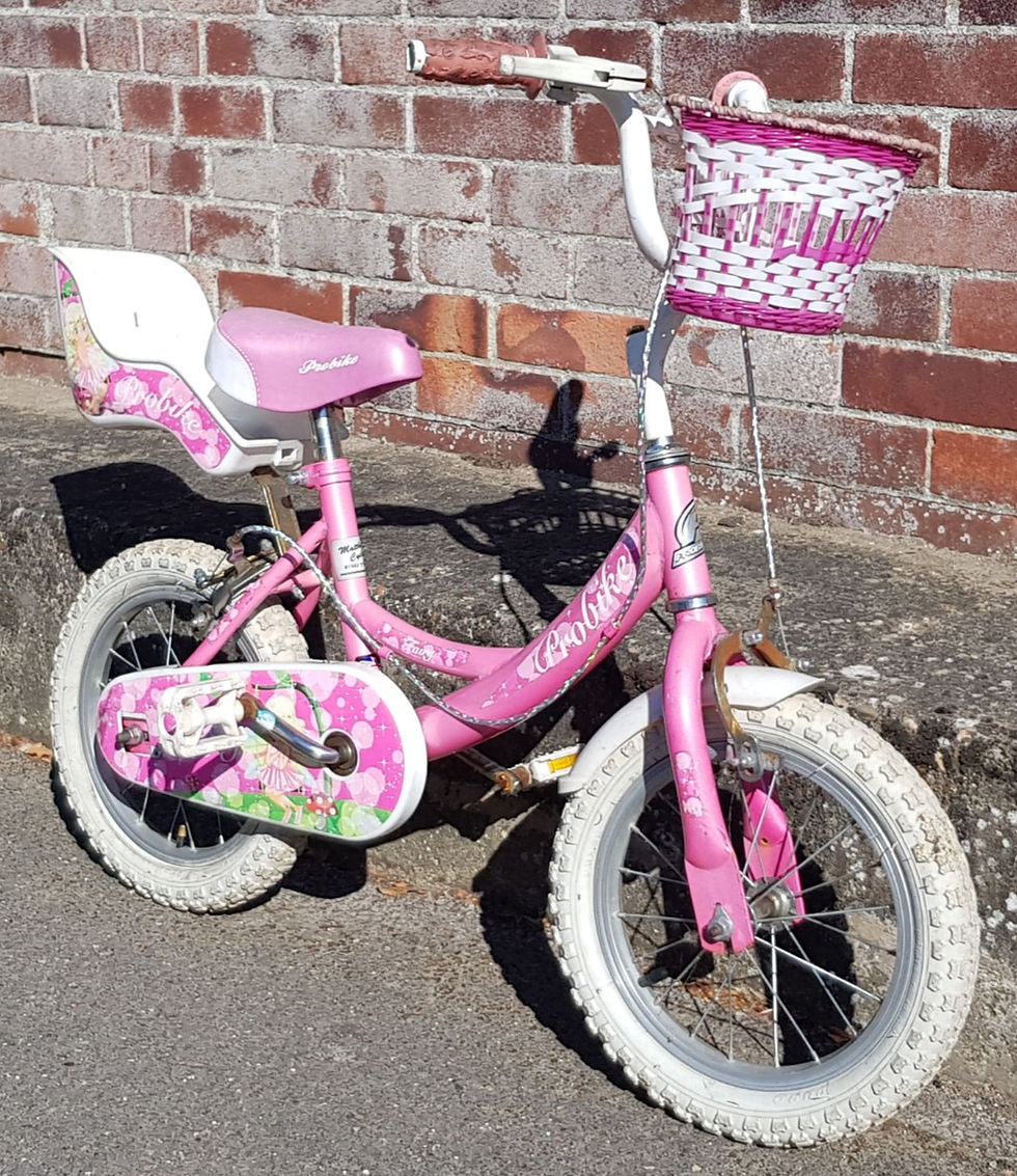 縮圖：ProBike Fairy