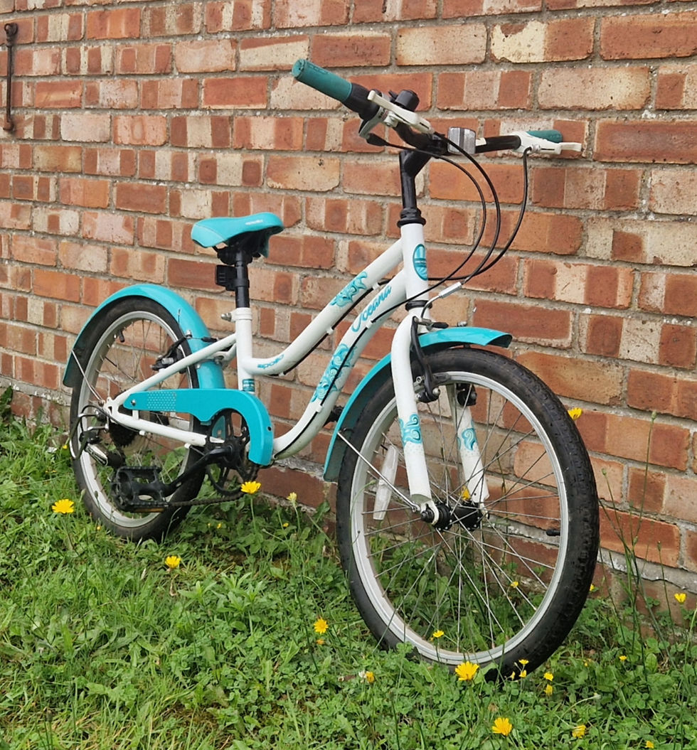 Thumbnail: SOLD!!! | Apollo Oceana