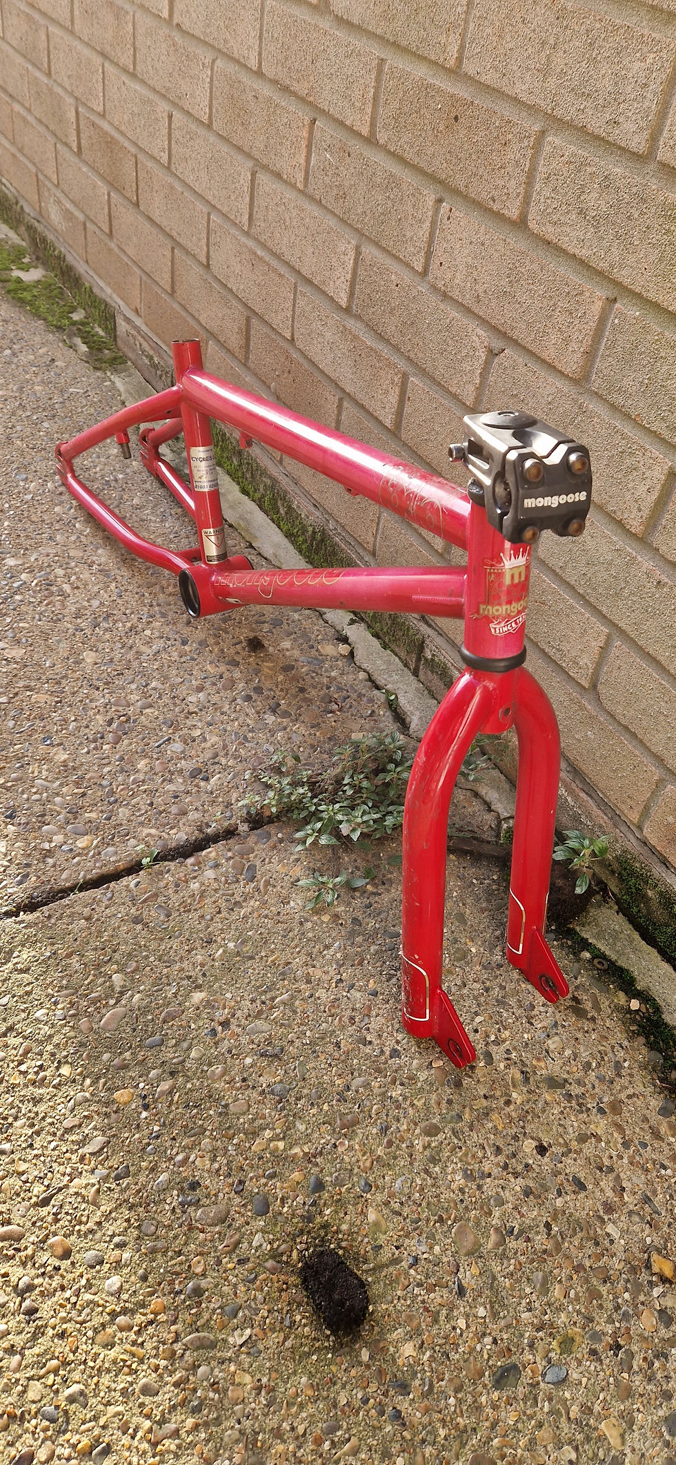 Miniaturbild: Mongoose Logo frame