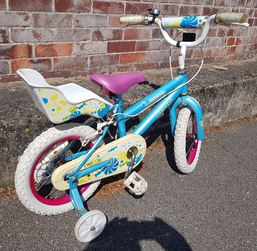 Миниатюра: Bugg Bike