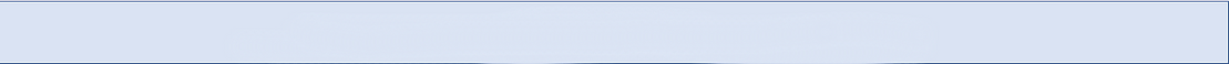 DOC Governance BLANK.png