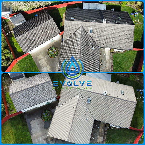 roof cleaning federal way