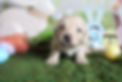 IMG_0486.jpeg