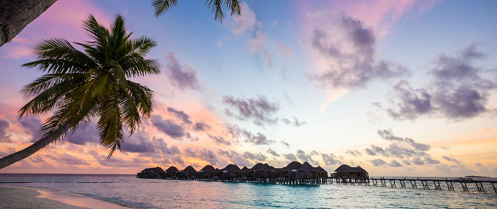 Constance Halaveli 01_edited.jpg