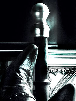 DSC04885   v v tight crop 