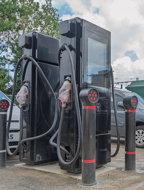 Willows September-01.jpg