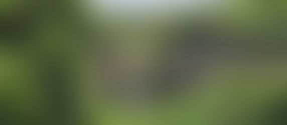 Highlights of South Mauritius in One Day