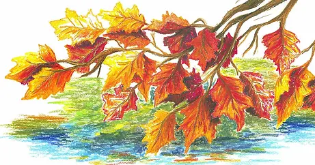 Oil Pastels.webp