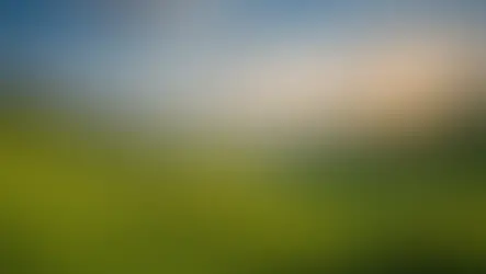 Integrating Risk-Based Thinking into Quality Objectives and Planning Activities: A Professional Approach