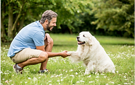 promenades des animaux de compagnie pour les personnes dépendantes