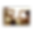 18.png