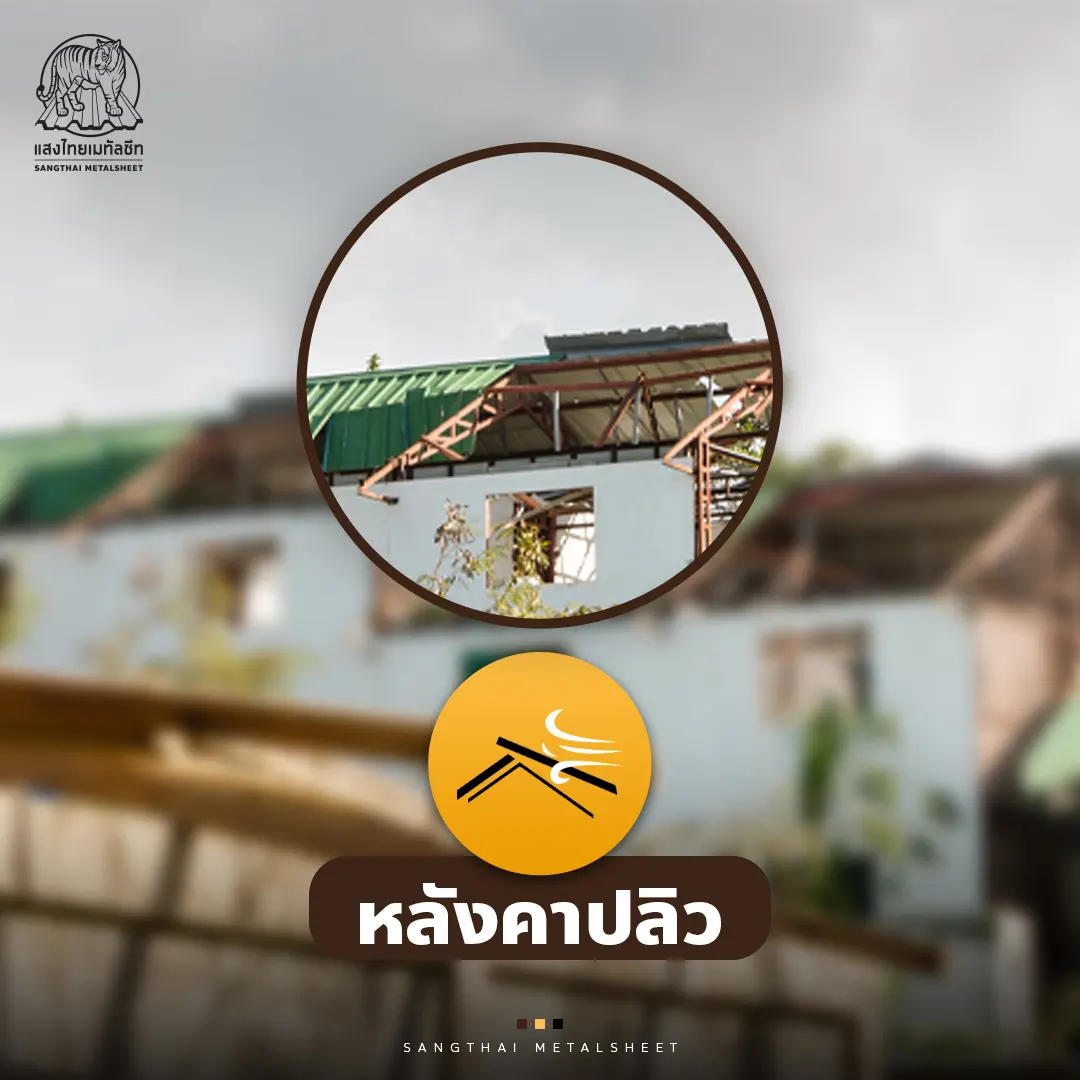 ปัญหาหลังคาบ้านปลิว