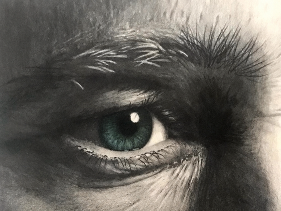Sketch_edited_green_eye.png