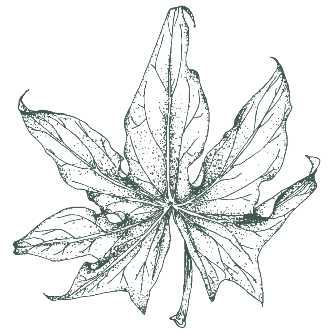Logo - GGC - grün.png