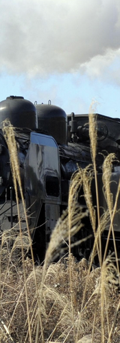 Michi-no-Eki Motegi (Tochigi)