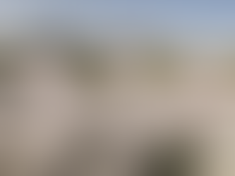 🌸 The Sakura Season is steps away