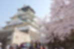 Osaka Castle, cherry blossoms, people visiting