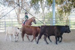 Zone 16, Canberra Lakes