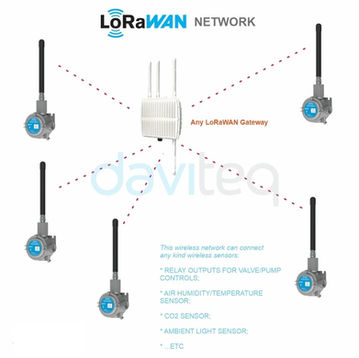 LoRaWAN Ex d RS485 Master Node - WSLRWEX-RS485