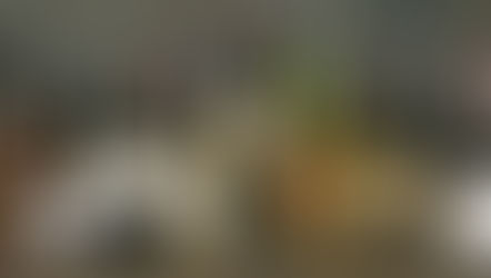 North Carolina Vineyards making a difference in Quality