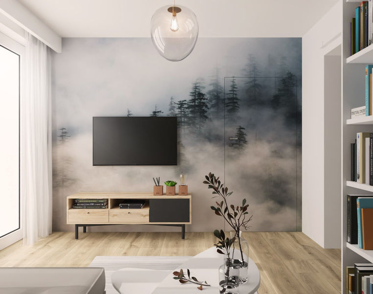 bauhose aga gromak projekt wnętrz  salon fototapeta gdańsk rtv tv.jpg